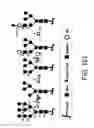 Fig. 486 - GLYCOPEGYLATION METHODS AND PROTEINS/PEPTIDES PRODUCED BY THE METHODS
