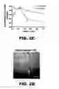 Fig. 06 - Imaging and treatment of pathophysiologic conditions by Cerenkov radiation