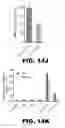 Fig. 30 - Imaging and treatment of pathophysiologic conditions by Cerenkov radiation