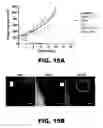 Fig. 32 - Imaging and treatment of pathophysiologic conditions by Cerenkov radiation