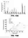 Fig. 34 - Imaging and treatment of pathophysiologic conditions by Cerenkov radiation