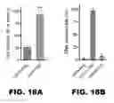 Fig. 41 - Imaging and treatment of pathophysiologic conditions by Cerenkov radiation