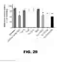 Fig. 57 - Imaging and treatment of pathophysiologic conditions by Cerenkov radiation