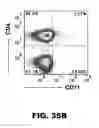 Fig. 66 - Imaging and treatment of pathophysiologic conditions by Cerenkov radiation
