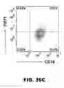 Fig. 67 - Imaging and treatment of pathophysiologic conditions by Cerenkov radiation