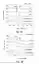Fig. 04 - Amelogenin-chitosan hydrogel for dentin hypersensitivity