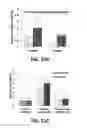 Fig. 22 - Electrospinning of cartilage and meniscus matrix polymers