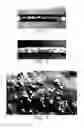 Fig. 02 - Coatings with crystallized active agent(s) and methods