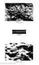 Fig. 03 - Coatings with crystallized active agent(s) and methods