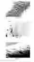 Fig. 04 - Coatings with crystallized active agent(s) and methods
