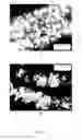 Fig. 06 - Coatings with crystallized active agent(s) and methods