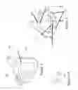 Fig. 03 - VENTILATION MASK