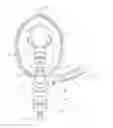 Fig. 01 - Nebulizer apparatus