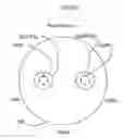 Fig. 04 - Method and means to improve the effects of electrical cell and neuron stimulation with random stimulation in both location and time