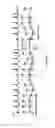 Fig. 08 - Hemodynamic performance enhancement through asymptomatic diaphragm stimulation