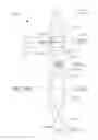 Fig. 49 - Methods and systems for diagnosing and treating eyes using laser therapy