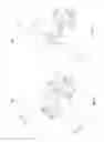 Fig. 07 - Elastic torsion device