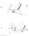 Fig. 06 - CHEST-DEVELOPING EXERCISER