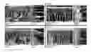 Fig. 01 - NANOFILTRATION MEMBRANE