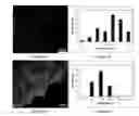 Fig. 09 - Compositions of nanoparticles on solid surfaces