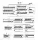 Fig. 06 - Barrier coating corrosion control methods and systems for interior walls of pipe in underground piping