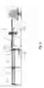 Fig. 08 - Systems and processes for feeding longitudinal wires or rods to mesh producing machines
