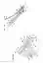 Fig. 08 - Nut feeding apparatus