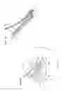 Fig. 10 - Nut feeding apparatus