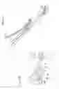 Fig. 11 - Nut feeding apparatus