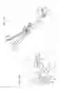 Fig. 12 - Nut feeding apparatus