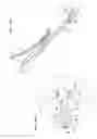 Fig. 14 - Nut feeding apparatus