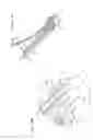Fig. 15 - Nut feeding apparatus