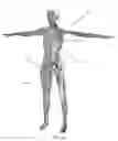Fig. 02 - Biomimetic humanoid robotic model, control system, and simulation process