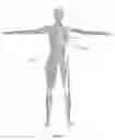 Fig. 03 - Biomimetic humanoid robotic model, control system, and simulation process