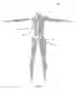 Fig. 04 - Biomimetic humanoid robotic model, control system, and simulation process