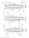 Fig. 06 - Oxygen impermeable spout for a flexible pouch