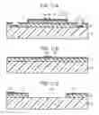 Fig. 10 - Ink jet head and manufacturing method thereof