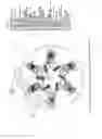 Fig. 04 - Universal multi-terrain brake system (UBS) with adjustable wheel traction (AWT)