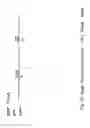 Fig. 20 - Universal multi-terrain brake system (UBS) with adjustable wheel traction (AWT)