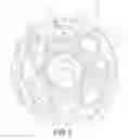 Fig. 03 - NON-PNEUMATIC TIRE INCLUDING SHEAR MODULE