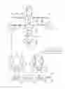 Fig. 01 - Control system for and control method of electric vehicle