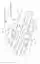 Fig. 04 - Wiper blade