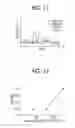 Fig. 07 - Transport device and image forming apparatus