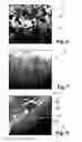 Fig. 04 - Porous carbon particles having a core/shell structure, and method for producing same