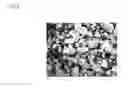 Fig. 03 - Synthetic amorphous silica powder and process for manufacturing same