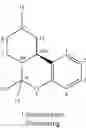 Fig. 02 - Methods for Obtaining Purified Cannabis Extracts and THCA Crystals