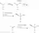 Fig. 77 - COT MODULATORS AND METHODS OF USE THEREOF