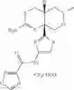 Fig. 131 - 2-amino-6-methyl-4,4a,5,6-tetrahydropyrano[3,4-d][1,3]thiazin-8a(8H)-yl-1,3-thiazol-4-yl amides