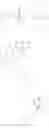 Fig. 35 - 2-amino-6-methyl-4,4a,5,6-tetrahydropyrano[3,4-d][1,3]thiazin-8a(8H)-yl-1,3-thiazol-4-yl amides