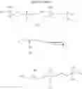 Fig. 12 - Method for preparing racemic or optically active α-glycerophosphorylcholine